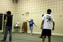 volleyball 234_filtered.jpg 7.9K